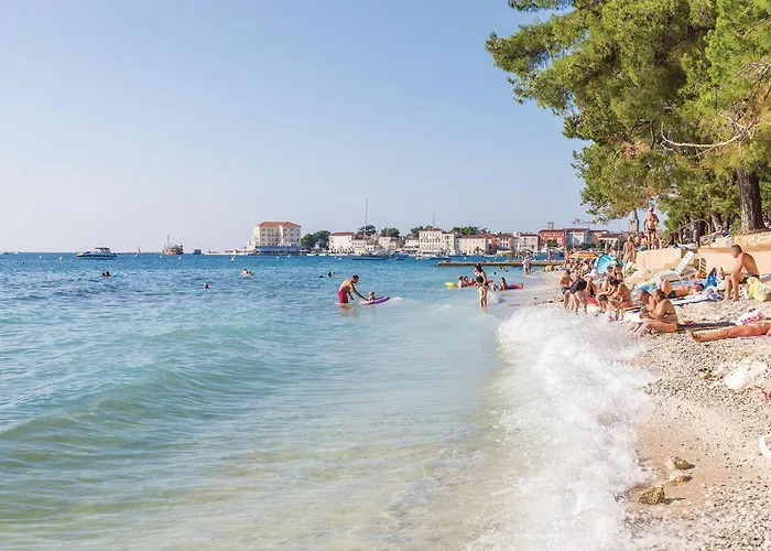 Awesome In With Wifi Apartment *